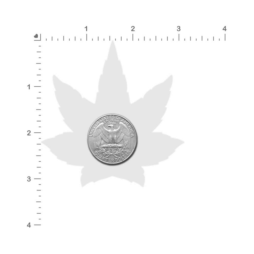 Pastease Indica Pot Leaf Holographic Pasties