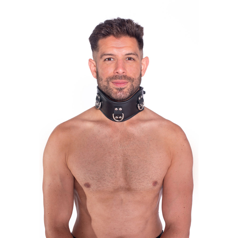 Prowler RED Leather Posture Collar