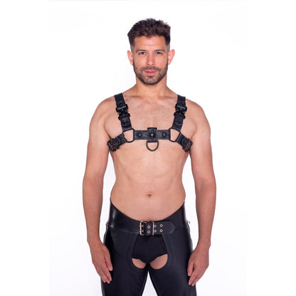 Prowler RED Bull Harness Black with Metal Fittings