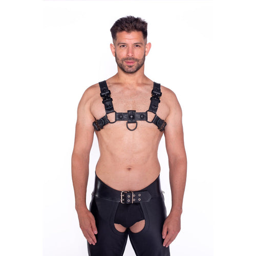 Prowler RED Bull Harness Black with Metal Fittings