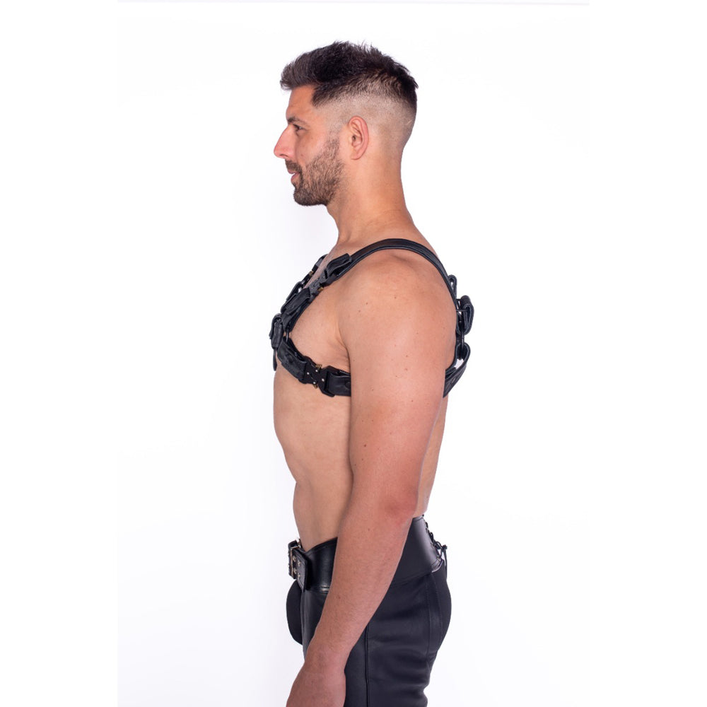 Prowler RED Bull Harness Black with Metal Fittings