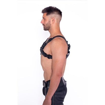 Prowler RED Bull Harness Black with Metal Fittings