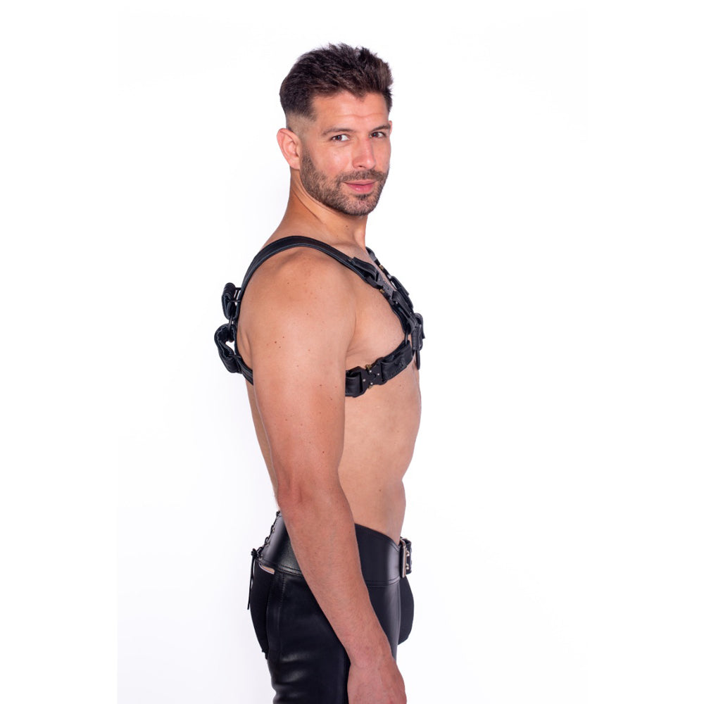 Prowler RED Bull Harness Black with Metal Fittings