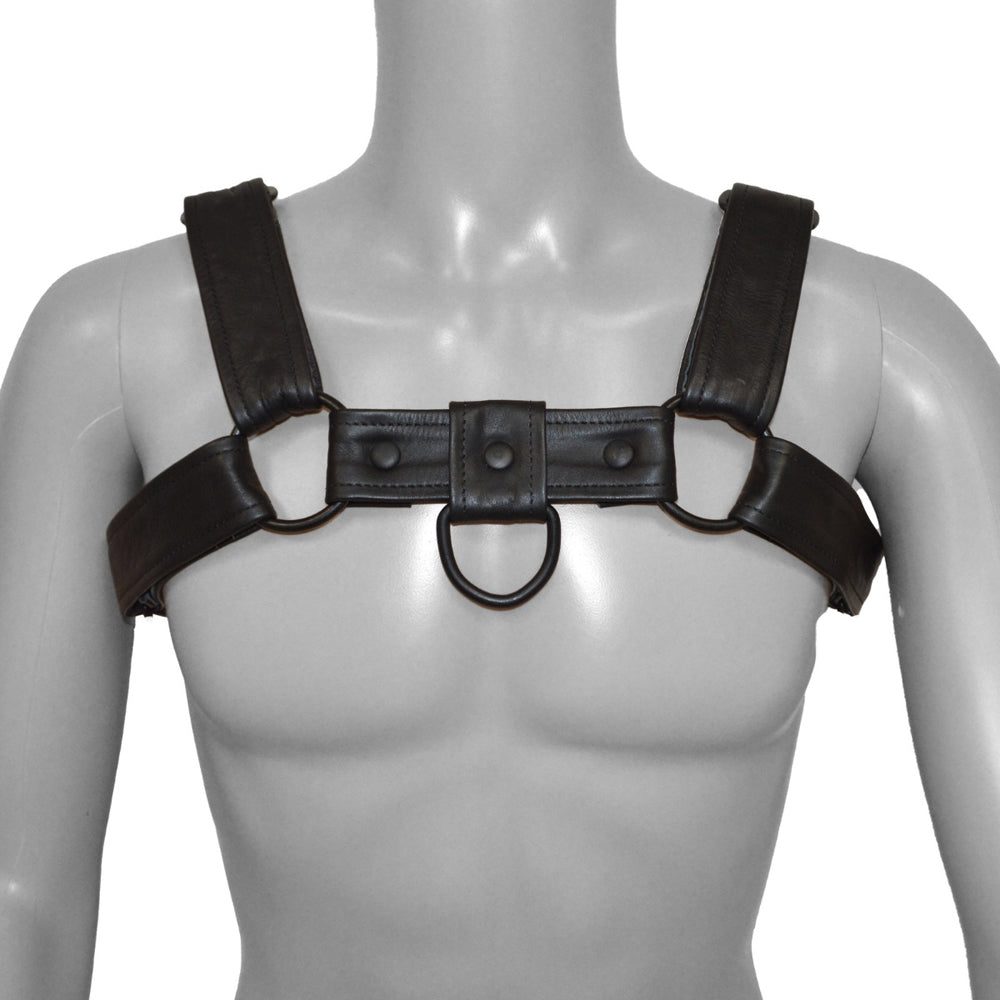 Prowler RED Bull Harness Black with Metal Fittings